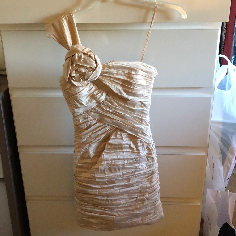 One shoulder super dressy BCBG dress